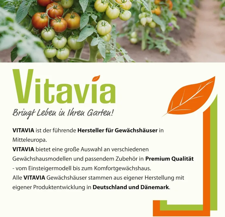 Vitavia Gewächshaus Venus 3800", Aluminium eloxiert, 3,8 m², 6 mm HKP | Wetterfestes & stabiles Treibhaus | Perfekt für Gemüse & Pflanzen | Robust & langlebig – Bild 6