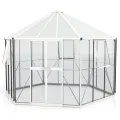 Vitavia Gewächshaus Pi 9000", weiß, 3 mm ESG | Wetterfestes & stabiles Treibhaus | Perfekt für Gemüse & Pflanzen | Robust & langlebig - Thumbnail 10
