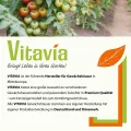 Vitavia Gewächshaus Venus 2500", smaragd grün, 2,5 m², 4 mm HKP | Wetterfestes & stabiles Treibhaus | Perfekt für Gemüse & Pflanzen | Robust & langlebig - Thumbnail 6