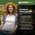 STREND PRO Balkon Hochbeet 4 Etagen Holz | 147x85x45cm (HxBxT) | Wetterfestes Vertikalbeet Pflanzentreppe Outdoor | Kräuterbeet Balkon für Blumen, Kräuter & Gemüse – für Terrasse, Garten - Thumbnail 6