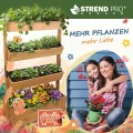 STREND PRO Balkon Hochbeet 4 Etagen Holz | 147x85x45cm (HxBxT) | Wetterfestes Vertikalbeet Pflanzentreppe Outdoor | Kräuterbeet Balkon für Blumen, Kräuter & Gemüse – für Terrasse, Garten - Thumbnail 9