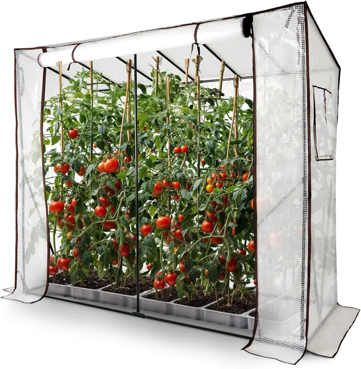 Arebos Tomatengewächshaus Foliengewächshaus mit 2 Belüftungsfenster | Gewächshaus groß | Tomatenhaus, Treibhaus mit Tür zum Aufrollen | 200x77x170 cm Frühbeet, Gemüse, Blumen, Obst | Gewächshausfolie - Bild 1