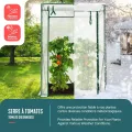 VOUNOT Gewächshaus Foliengewächshaus 100x50x150 cm, Schrägdach Tomatengewächshaus Stabil Tomatenhaus für Gemüse, Blumen & Obst, Verstärkte PE-Folie 135g/m², Weiß - Thumbnail 2