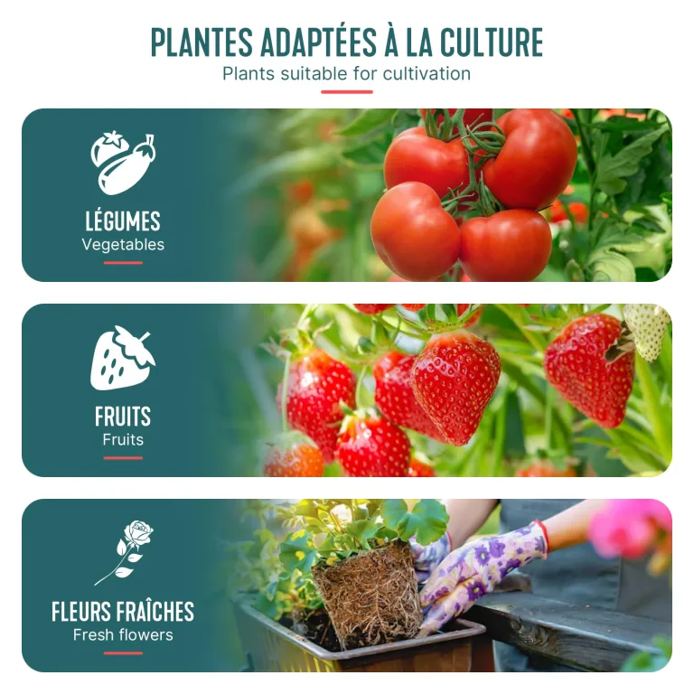 VOUNOT Gewächshaus Foliengewächshaus 100x50x150 cm, Schrägdach Tomatengewächshaus Stabil Tomatenhaus für Gemüse, Blumen & Obst, Verstärkte PE-Folie 135g/m², Grün – Bild 7