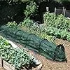 Pflanztunnel Netz, Garden Folientunnel 300x30x45cm, Faltbar Gartentunnel, Frühbeet Schutztunnel Gewächshaus mit Stecksystem, 6 Tunnelbögen Aufzucht Hochbeet Gemüsebeet Pflanzentunnel (Grün) - Thumbnail 3