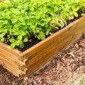 Greenspot - Hochbeet Holz - Kräuterbeet für Garten - 120x80 - aus Echtholz, Imprägniert - Gemüsebeet, Blumenbeet, Pflanzkübel XXL, Pflanzkasten - Timber Palisanderbraun - Thumbnail 6