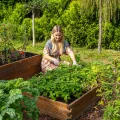 Greenspot - Hochbeet Holz - Kräuterbeet für Garten - 120x80 - aus Echtholz, Imprägniert - Gemüsebeet, Blumenbeet, Pflanzkübel XXL, Pflanzkasten - Timber Palisanderbraun - Thumbnail 8