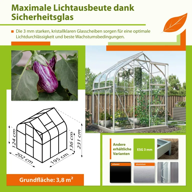 Vitavia Gewächshaus Orion 3800" | 3,8 m² | 3 mm ESG | Aluminium eloxiert | Runddach-Design | Doppelschiebetür & Dachfenster | Elegant & wetterfest – Bild 4