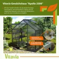 Vitavia Gewächshaus Apollo 2500" schwarz | 2,5 m² | 6 mm HKP | Inkl. Stahlfundament | Barrierefreier Zugang | Tür für Vorhängeschloss | Einfacher Aufbau | Langlebig & Wetterfest - Thumbnail 2