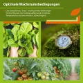 Vitavia Gewächshaus Sirius | 13 m² | 3 mm ESG | schwarz pulverbeschichtet | Inkl. Stahlfundament & 3 Regenfallrohre | 4 Dachfenster & Doppelschiebetür | Stilvolle Orangerie - Thumbnail 5