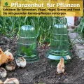 Pflanzenhut, Pflanzhütchen für Salatpflanzen zum Schutz vor Vögeln, Schnecken, Frost oder Witterung - Schützt Pflanzen vor Tierfraß,Kann mit einem Schneckenkragen verwendet werde. - Thumbnail 9