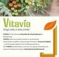 Vitavia Anlehn-Gewächshaus Ida 5200", smaragd grün, 5,2 m², 6 mm HKP | Wetterfestes & stabiles Wand-Gewächshaus zur Pflanzenanzucht | Ideales Treibhaus für Gemüse, Kräuter & Blumen - Thumbnail 6