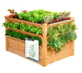 WESTMANN Premium Hochbeet aus Lärchenholz mit Aussaatkalender | Natur | 66x66x73 cm | Kräuterbeet | Holzhochbeet zum Bepflanzen von Gemüse & Kräutern - Thumbnail 8