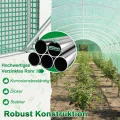 YRHome 3 x 8 x 2 m Groß Foliengewächshaus Gewächshaus Winterfest Verzinkter Stahl Grün Treibhaus Tomatenhaus mit Tür & Fenster Bogen-Design Begehbares Gartenhäuschen für Aufzucht Tomaten Pflanzen - Thumbnail 4