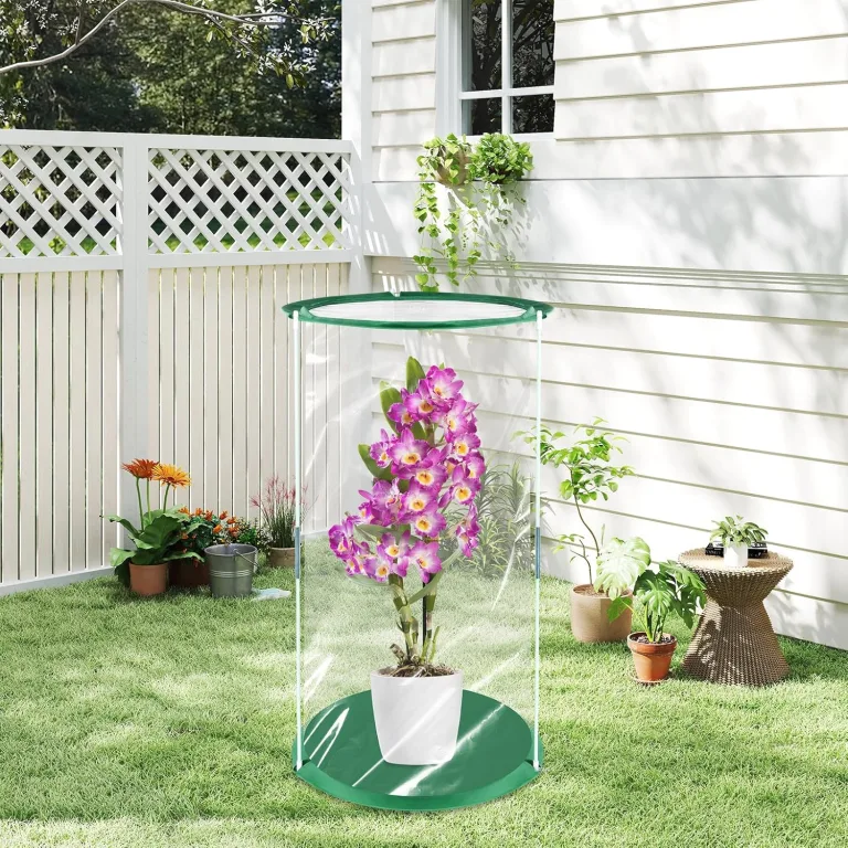 Pop Up Gewächshaus Klein, 2 Stück 53×30cm Mini Gewächshaus für Kübelpflanzen für Blumen Gemüse & Pilze, Transparentes PVC Überwinterungszelt für Pflanzen – Bild 6