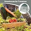 Greenhouse Tomatenhause für den Außenbereich – Mini-Gewächshausabdeckung, mobiler Schutz | Topfabdeckung im Freien, schützendes Blumentopfzelt für Tomaten, klein - Thumbnail 3