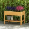 COSTWAY Hochbeet mit Ablage, Erhöhtes Gartenbeet aus Holz, Pflanzkasten mit Entwässerungslöchern, Gemüsebeet Kräuterbeet groß, für Balkon Garten Terrasse, 120 x 60 x 81 cm (Natur) - Thumbnail 8