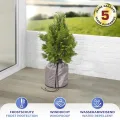 Maximex Pflanzenschutz Pflanztopf-Sack 2er Set Überwinterung Frostschutz Pflanzen 28l Zylinder platzsparend verstaubar 30x40cm Beige Polyester Kunststoff - Thumbnail 4