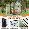 Gewächshaus Aluminium, Treibhaus mit Transparent PC Platten Dachfenster & Tür & Fundament, 125x180x195cm Winterfest Gartengewächshäuser, Begehbares Pflanzenhaus für Garten Outdoor - Thumbnail 7