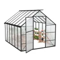 YRHome Premium Gewächshaus Aluminium 310x250x205cm 7.75m² Begehbares Garten-Gewächshaus mit verstärktem Fundament & Dachfenster & Tür Wetterfest & temperaturbeständig für Tomaten, Gemüse & Pflanzen - Thumbnail 1