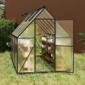 Froadp Gewächshaus aus Aluminium mit Fundament 340x180x195cm Gartengewächshäuser 4mm PC-Hohlkammerplatten Wetterfest Treibhaus, Tomatenhaus mit Fenstern Treibhaus für Garten & Aufzucht - Thumbnail 8