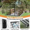 Froadp Gewächshaus aus Aluminium mit Fundament 380x250x205cm Gartengewächshäuser 4mm PC-Hohlkammerplatten Wetterfest Treibhaus, Tomatenhaus mit Fenstern Treibhaus für Garten & Aufzucht - Thumbnail 7