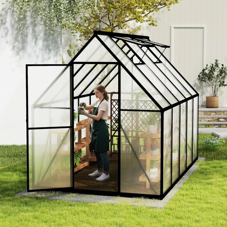 Froadp Gewächshaus aus Aluminium mit Fundament 280x180x195cm Gartengewächshäuser 4mm PC-Hohlkammerplatten Wetterfest Treibhaus, Tomatenhaus mit Fenstern Treibhaus für Garten & Aufzucht – Bild 8