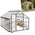 ACXIN Gewächshaus für Garten, Aluminium Treibhaus, Tomatenhaus & Pflanzenhaus mit Fundament, Dachfenster, PC-Platten, Bodenanker, Eisenverstärkung, 380x250x205cm Frühbeet, Wetterfest & UV-beständig - Thumbnail 10