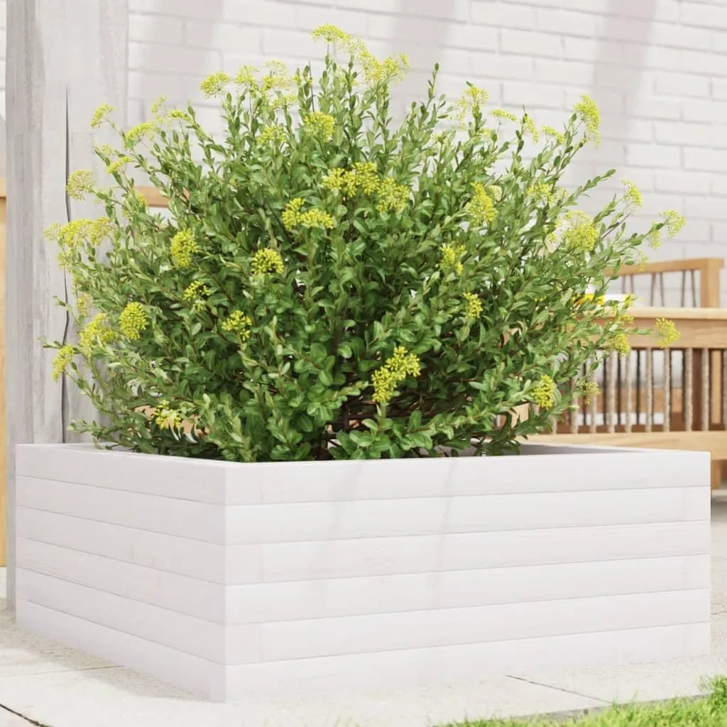 Gecheer Pflanzkübel Weiß 60x60x23 cm Massivholz Kiefer robust und stabil für Garten Dekoration - Bild 1
