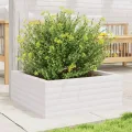 Gecheer Pflanzkübel Weiß 60x60x23 cm Massivholz Kiefer robust und stabil für Garten Dekoration - Thumbnail 4