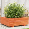Pflanzkübel Wachsbraun massivholz Kiefer Robustes Gestell für Blumen und Pflanzen Garten Dekoration - Thumbnail 1