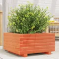 Gecheer Pflanzkübel Wachsbraun 50x50x26 5 cm Massivholz Kiefer großes Volumen für Pflanzen Gemüse und Kräuter im Garten - Thumbnail 2