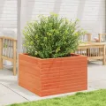 Gecheer Pflanzkübel Wachsbraun, 70x70x45,5 cm, Massivholz Kiefer, robust, viel Platz für Pflanzen, offener Boden - Thumbnail 3