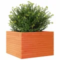 Gecheer Pflanzkübel Wachsbraun, 70x70x45,5 cm, Massivholz Kiefer, robust, viel Platz für Pflanzen, offener Boden - Thumbnail 4