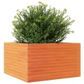 Gecheer Pflanzkübel Wachsbraun 80x80x46 cm Massivholz Kiefer Robustes Holzbeet für Garten Dekoration - Thumbnail 3