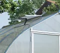 Palram-Canopia Aluminium Gewächshaus Bella 820 | 601x244 cm | Zwiebelform | 6 mm Polycarbonat-Doppelstegpaneele | Inkl. Zubehörset | UV-beständig & wetterfest | Mit Doppelflügeltür & 4 Dachfenstern - Thumbnail 4