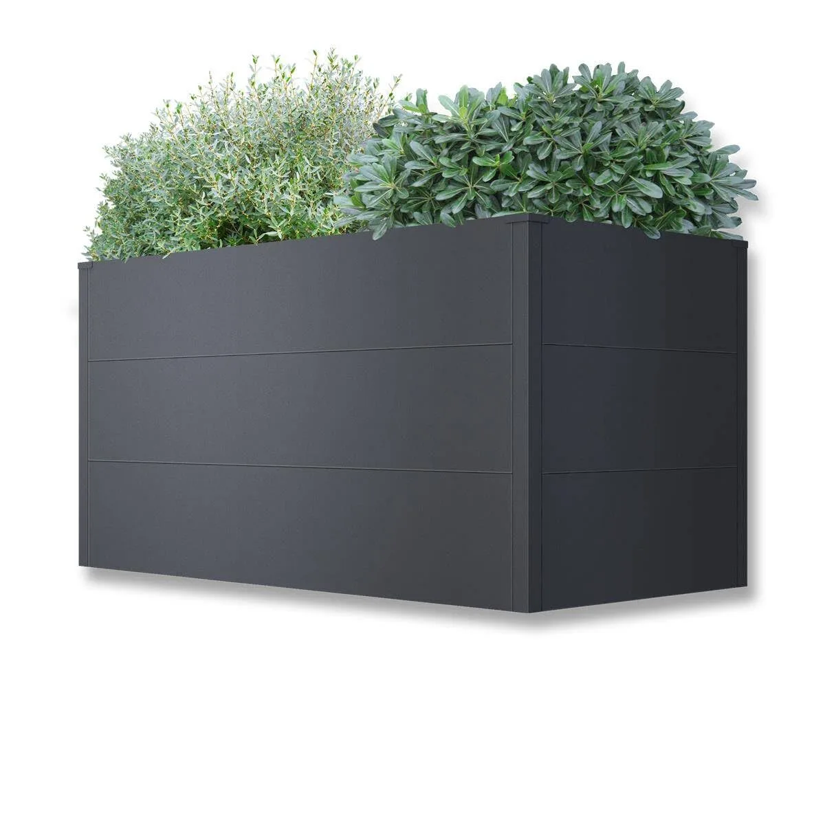 Metzler Hochbeet für den Garten – Stahl in Eisenglimmer | Witterungsbeständiges Metall-Gartenbeet, Pflanzenbeet, Blumenhochbeet | 150 x 75 x 77 cm - Bild 1