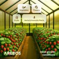 Arebos Hohlkammerstegplatten 10er Set | 121 x 60,5 cm | Polycarbonat Platten 6 mm stark | UV-beständig | 900 g/m² | Transparent | für Gewächshaus, Carport, Frühbeet, Überdachung - Thumbnail 4