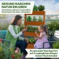 TTL GARDEN Vertikal Hochbeet 4 Etagen Holz 140x85x45cm Hellbraun - Vertikalbeet & Kräuterhochbeet mit 4 Etagen & Folie - Tannenholz wetterfest - Blumenkasten Kräutertreppe für Balkon Garten Terrasse - Thumbnail 6