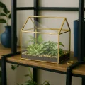 Relaxdays Pflanzenterrarium, Glas & Kupfer, HBT: 15x15x10 cm, Deko Glashaus Kakteen & Moos, Glaskasten Fensterbank, gold - Thumbnail 2