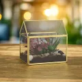 Relaxdays Pflanzenterrarium, Glas & Kupfer, HBT: 15x15x10 cm, Deko Glashaus Kakteen & Moos, Glaskasten Fensterbank, gold - Thumbnail 3