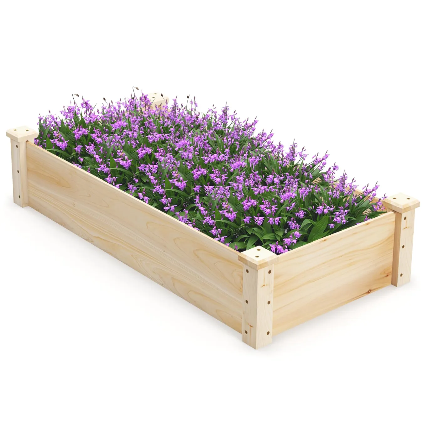 COSTWAY Hochbeet Holz, Gartenbeet ohne Boden, Kräuterbeet für Garten Balkon Hof Terrasse, Blumenkasten für Gemüse, Blumen, Kräuter, Pflanzbeet Blumenbeet, 120 x 61 x 25,5 cm, Natur - Bild 1