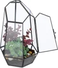 Relaxdays Pflanzenterrarium, Glas & Kupfer, HBT: 26x18x15 cm, Glaskasten Kakteen & Moos, geometrisch, Fensterbank, gold - Thumbnail 7
