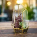 Relaxdays Pflanzenterrarium, Glas & Kupfer, HBT: 26x18x15 cm, Glaskasten Kakteen & Moos, geometrisch, Fensterbank, gold - Thumbnail 3