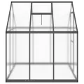 IKAYAA Gewächshaus Aluminium mit Fundament Gewächshaus für den Garten Gartenhaus Winterfest Tomatenhaus Frühbeet und Pflanzenhaus-Anthrazit-169 x 169 x 195 cm - Thumbnail 4