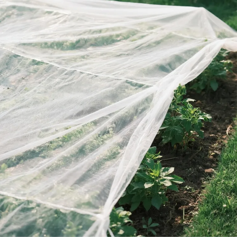 2x5M Gemüsenetz Insektenschutznetz Feinmaschig Insektennetz Vogelschutznetz Garten Gemüsebeet Schutznetz Gartennetz Pflanzennetz für Pflanzen Gemüse Blumen Garten Obstgarten (Weiß) – Bild 7