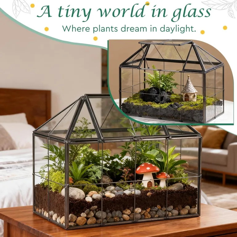 Mini Gewächshaus Fensterbank Glas 23,3 x 13,6 x 18cm Pflanzen Terrarium Klein Flaschengarten DIY (Keine Pflanzen enthalten) für Sukkulenten, Kakteen – Bild 4