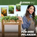 STREND PRO Hochbeet Balkon | 98cm(h) x 40cm(b) x 84(l) | Gemüsebeet Holz mit wasserdichter Pflanzfolie | Kleines Hochbeet Schmales ideal für Balkon, Terrasse & Garten | Kräuterbeet Klein - Thumbnail 4