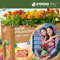 STREND PRO Hochbeet Balkon | 98cm(h) x 40cm(b) x 84(l) | Gemüsebeet Holz mit wasserdichter Pflanzfolie | Kleines Hochbeet Schmales ideal für Balkon, Terrasse & Garten | Kräuterbeet Klein - Thumbnail 8