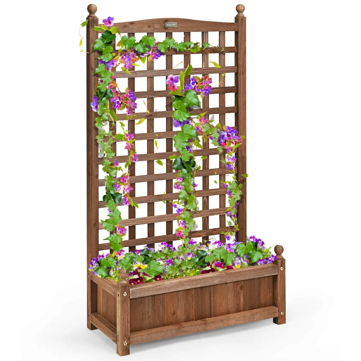 COSTWAY Blumenkasten mit Rankgitter, Pflanzkasten Holz für Kletterpflanzen, Pflanzkübel mit Sichtschutz, Hochbeet mit Spalier & Drainagelöchern, für Garten Hof Balkon, 64,5 x 28 x 120 cm, Braun - Bild 1